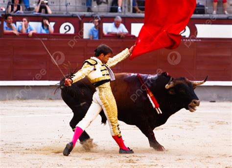  The Corrida of Courage – A 6th Century Spanish Folk Tale About Facing Fears and Finding Love?