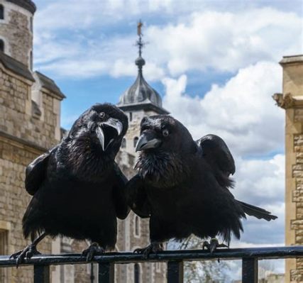  The Three Ravens - Mikä on tämän mystisen tarinan viesti vanhasta Englannista?